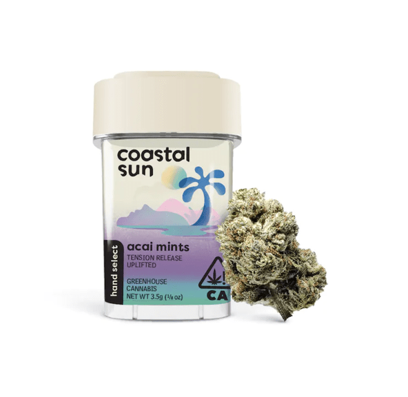 Coastal Sun Flower 3.5g - Acai Mints 27%