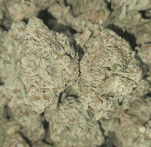 STRAWBERRY BUBBLES - STAFF PICKS