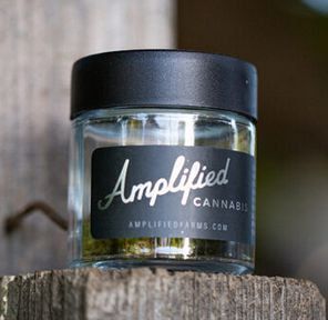 B. Amplified Farms 3.5g Flower - Quality 9/10 - Rainbow Runtz