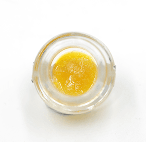 Gelato Punch . Dab
