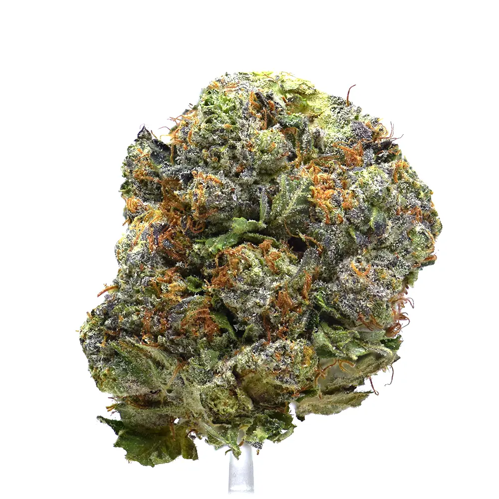 Candy Bubba