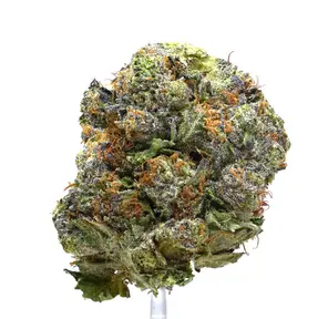 Candy Bubba
