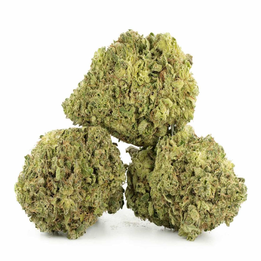 Bruce Banner