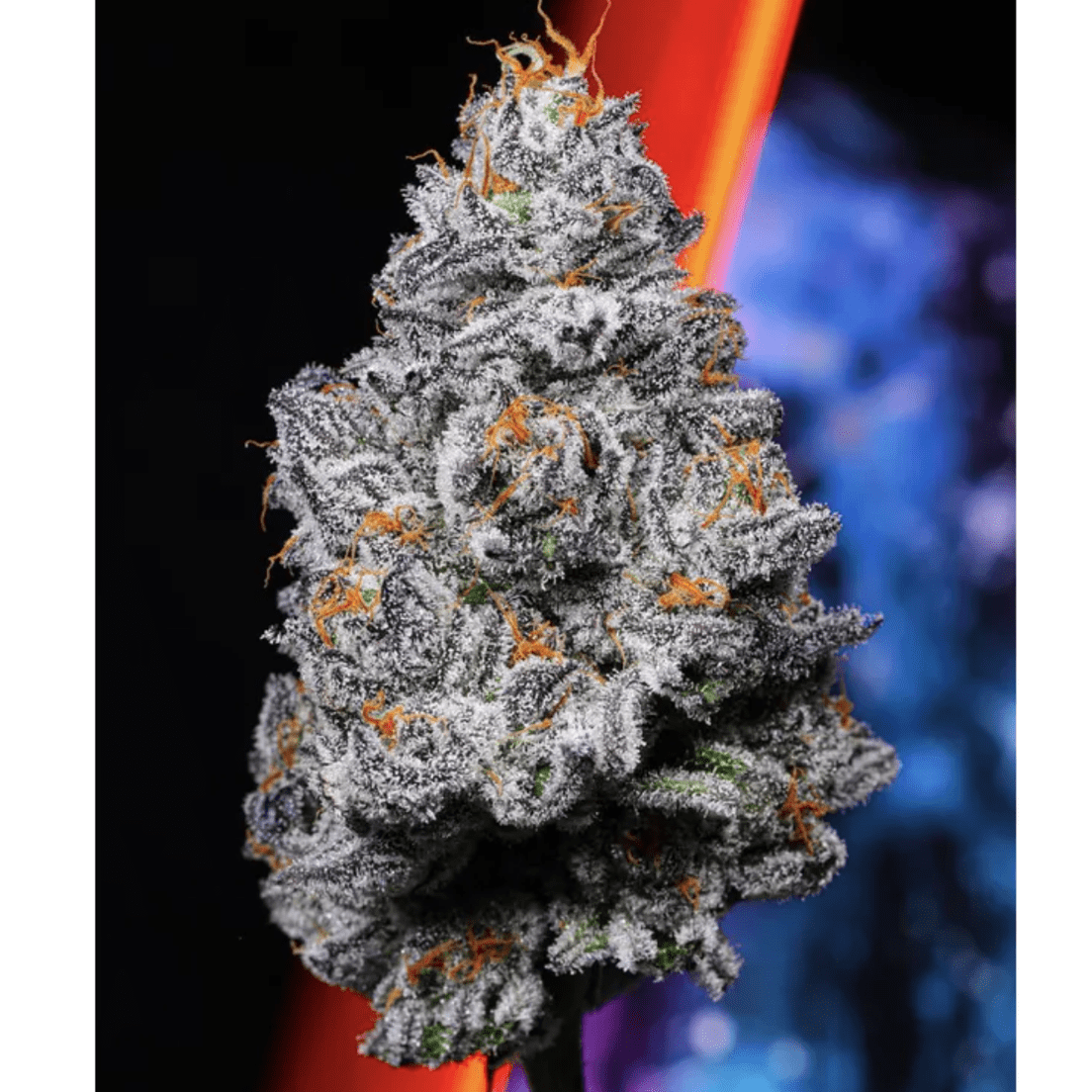 Alien Labs Indoor 3.5g - Kryptochronic 31%