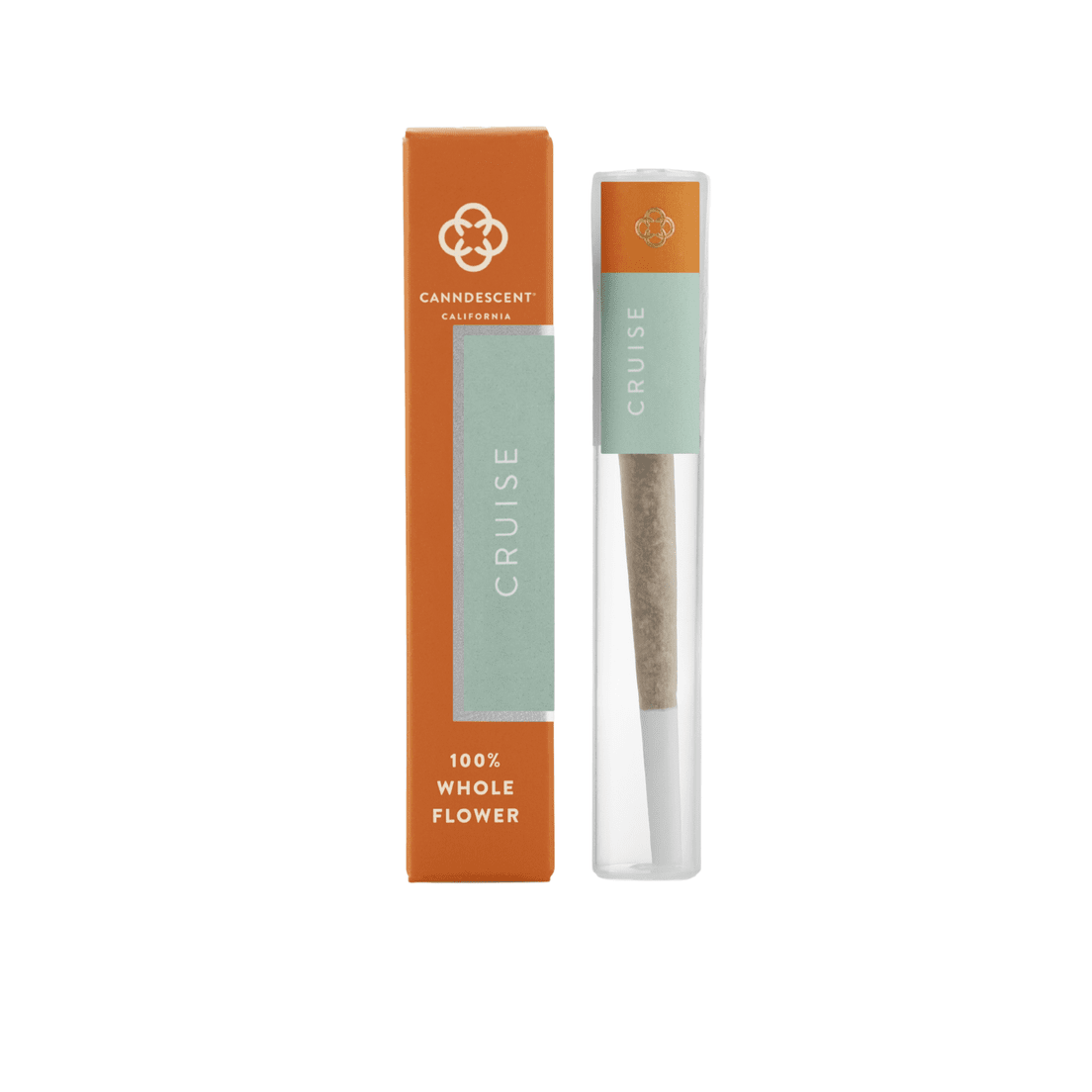 Canndescent | Preroll | 1g | Cruise | White Trufflez