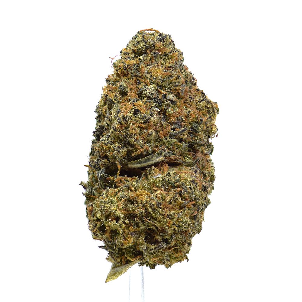 Black Princess | SALE!