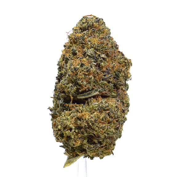 Black Princess | SALE!