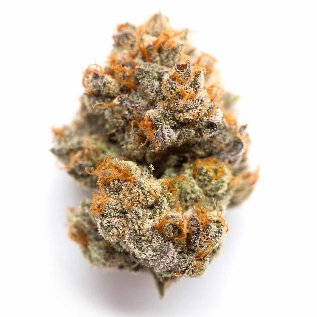 Blue Sherbet $100