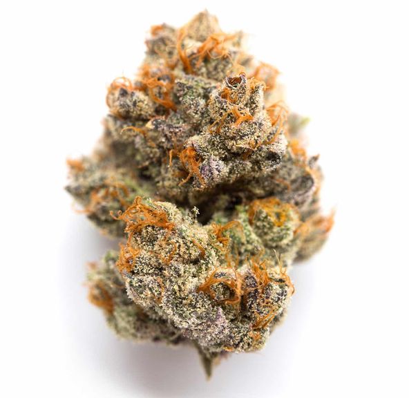 Blue Sherbet $100