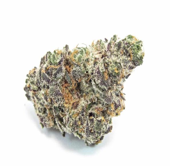 Apple Fritter