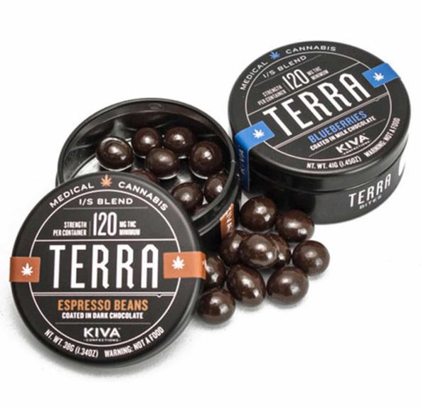 Terra Bites- Blueberries