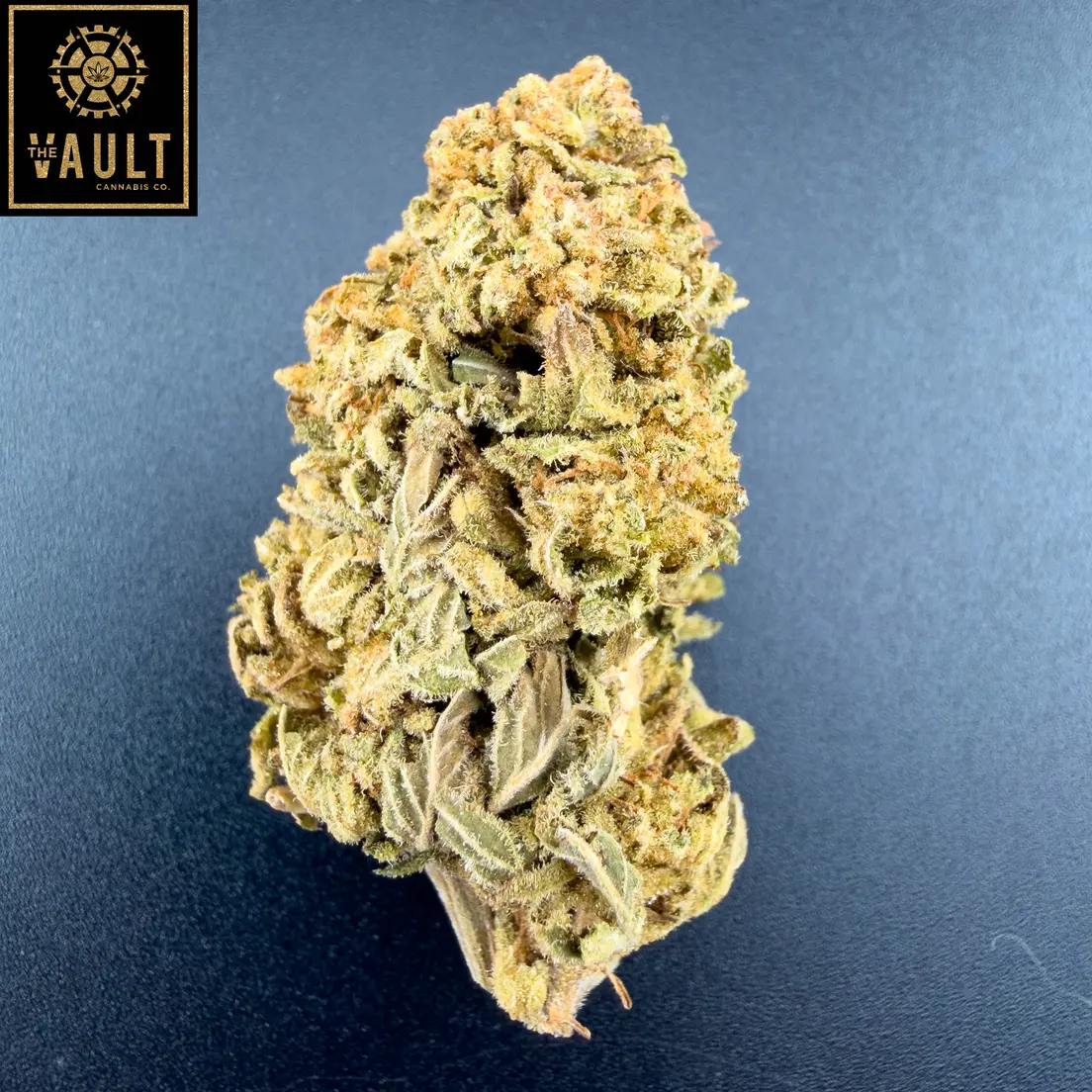 28G - GALACTIC JACK (AA+)