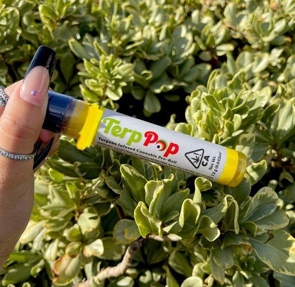 1. Terp Pop 1.2g Terpene Infused Pre Roll - Pineapple *SALE*