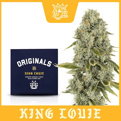 ORIGINALS- 3.5 KING LOUIE