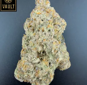 7g - SLURRICANE IX (AAAA+)