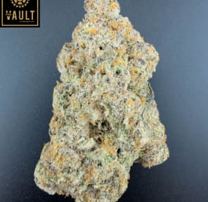 7g - SLURRICANE IX (AAAA+)