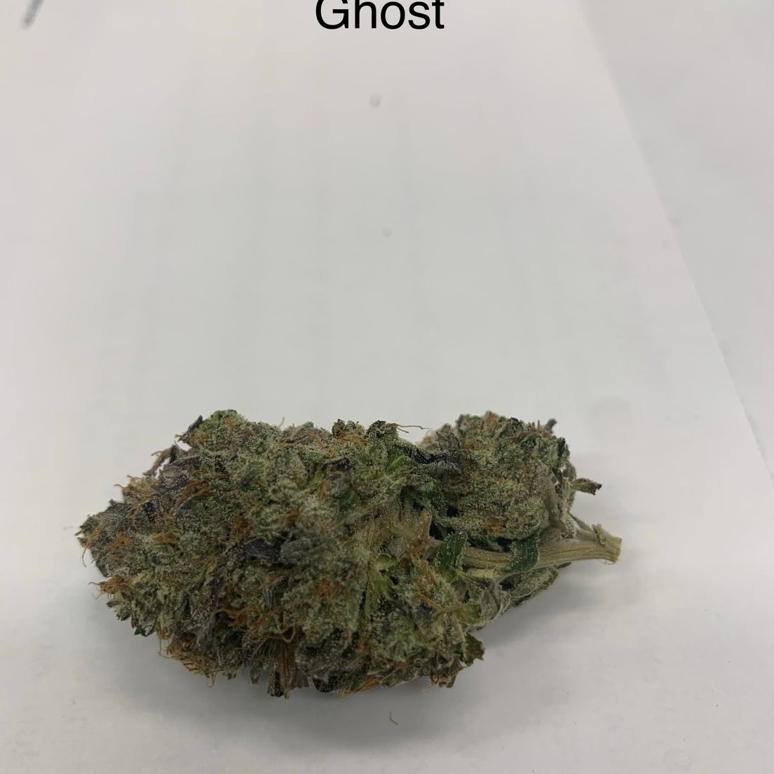 Ghost Pink