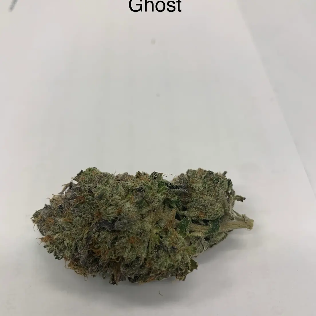 Ghost Pink