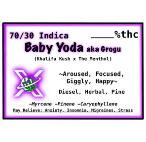 Baby Yoda ($25 Tier)
