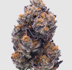 Flower- Vice City Bulk