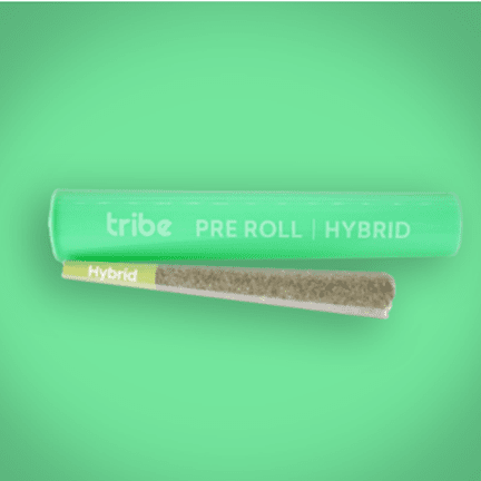 Lucky Banana Cake - Hybrid - Flower Pre Roll