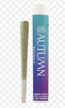 AUTUMN BRANDS BOPS GOIN BRAZY 1G PRE-ROLL INDICA