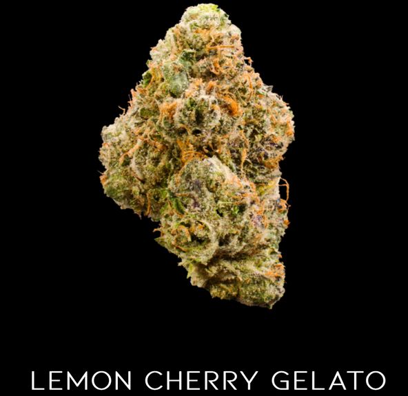 Goddess| Lemon Cherry Gelato| 3.5g