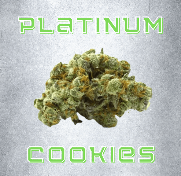 DAZE - Platinum Cookies (14g)