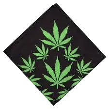 Bandanna