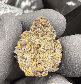 Hoka Haze (RCWM) - Halle Berry, 3.5 grams