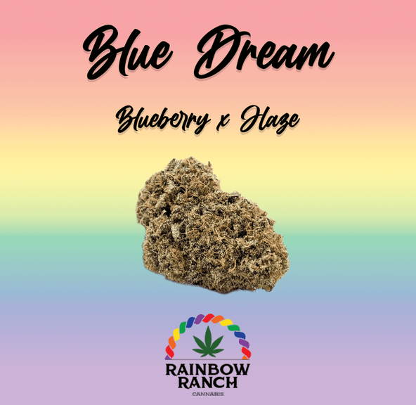 Blue Dream | Sativa | Indoor | Lincoln Lights