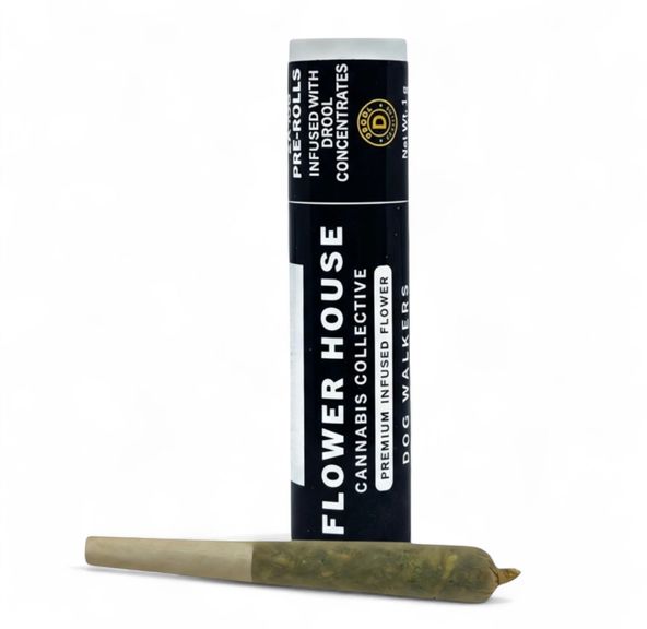 Flower House Dog Walkers Notorious (Ind Hybrid) 1G