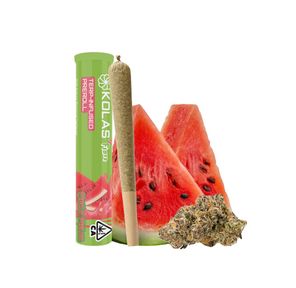 Terp Cone Mellow Melon 1.00 g
