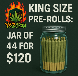 ??? King Size Pre-Roll: Blue Razz (Indica) 44 Pack JAR