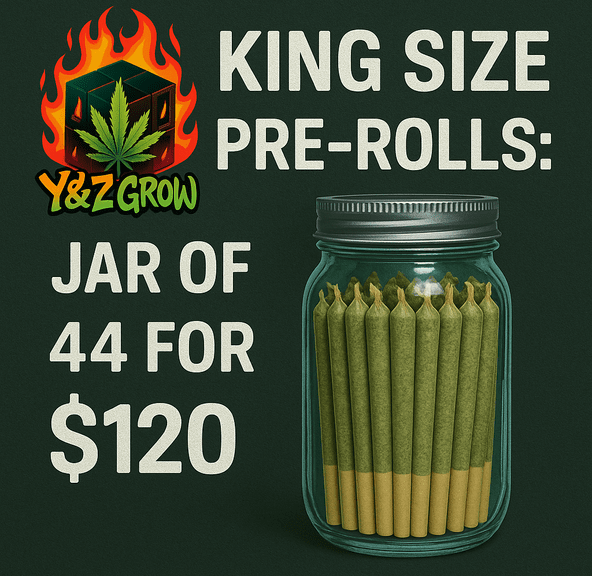 ??? King Size Pre-Roll: Blue Razz (Indica) 44 Pack JAR