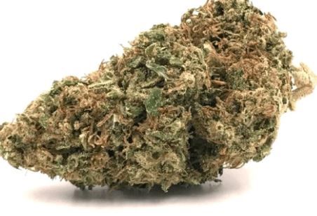 (PRE-ORDER ONLY) Cherry Punch (24% THC) Fog City Farms
