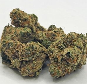Banana Punch | Ardo | Flower (IH)