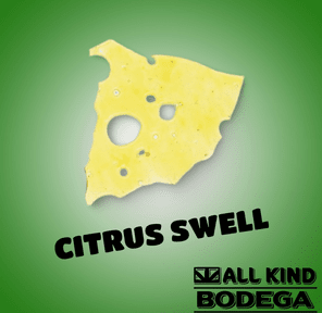Citrus Swell Shatter 1g (@pamolab)