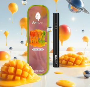 Disposable-Dompen Mango Haze 1g