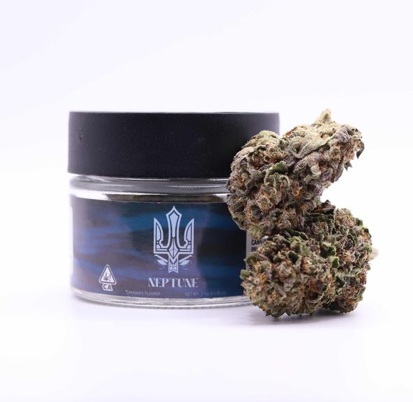 Neptune- RED VELVET 3.5G