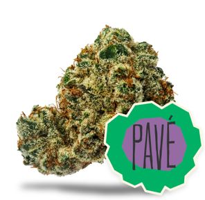 Flower Bulk Pave