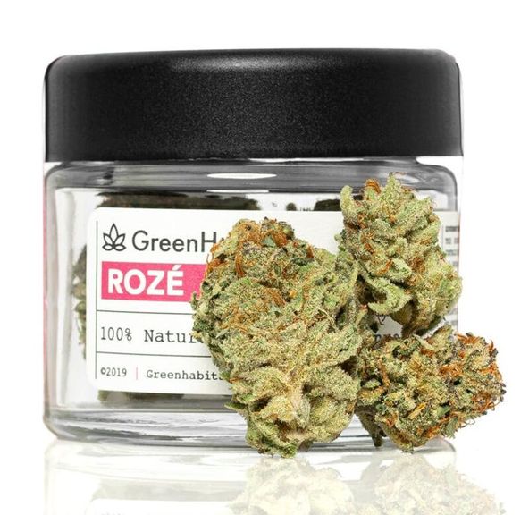 Roze - Indoor Flower