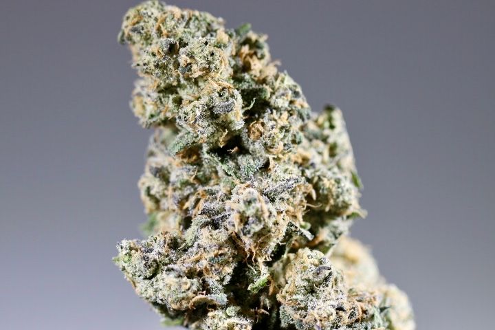 Altum | Lemon Cherry Diesel