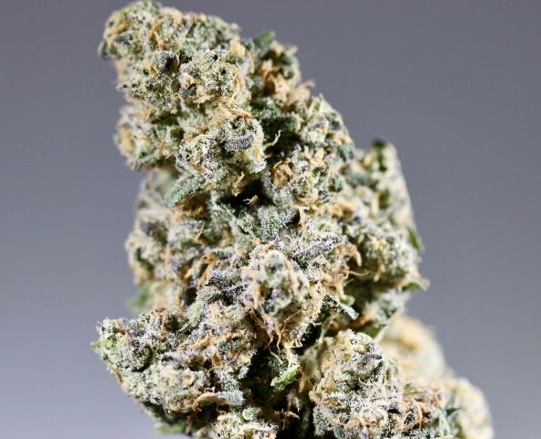 Altum | Lemon Cherry Diesel