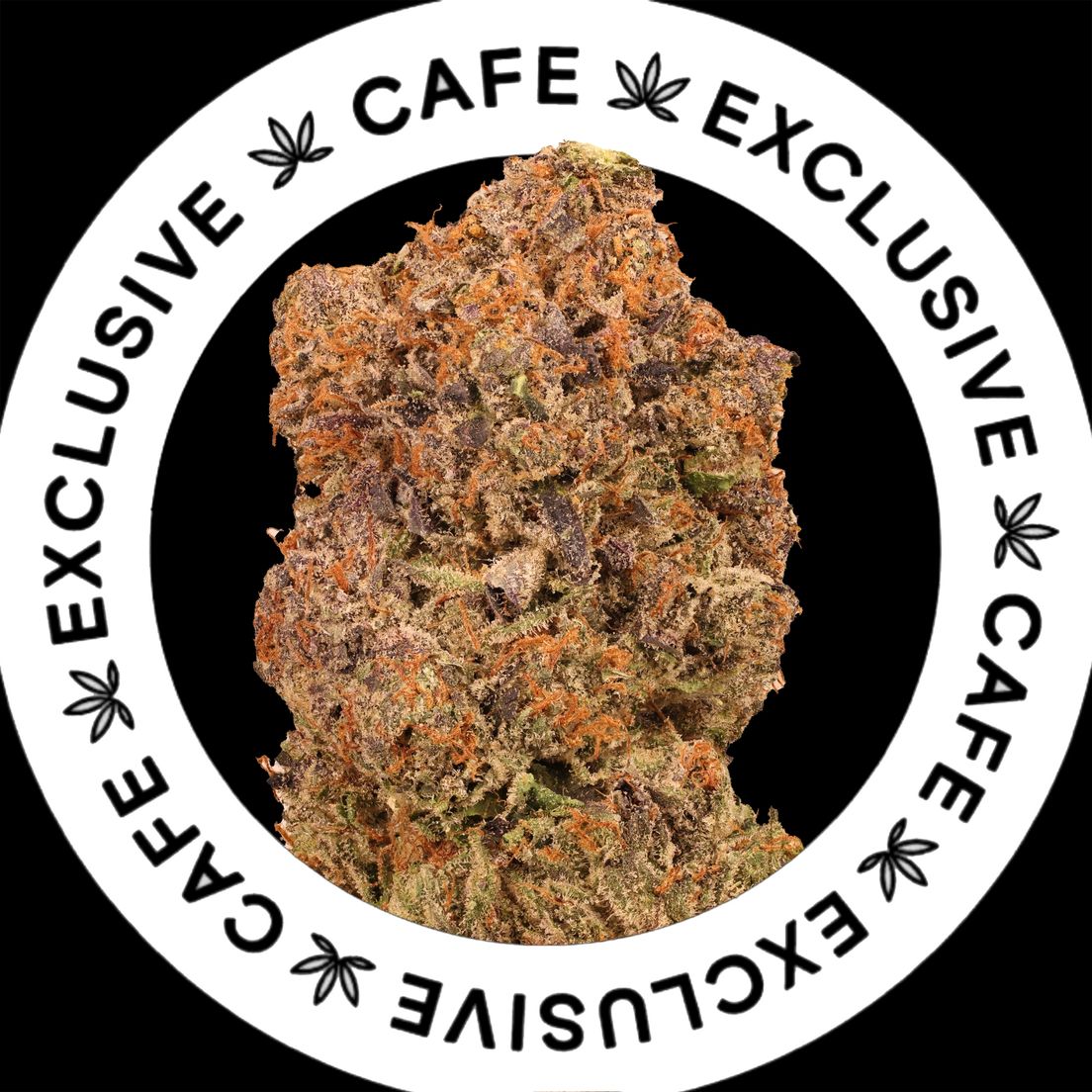 7G CAFE EXCLUSIVES- PINK LOUIS XIII