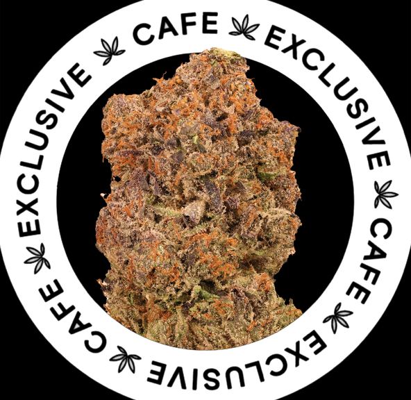 7G CAFE EXCLUSIVES- PINK LOUIS XIII