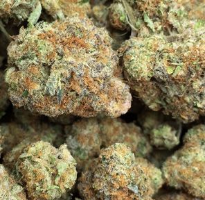 GIRL SCOUT COOKIES 1/2 Ounce TOP SHELF Indoor Grown 31.20% THC