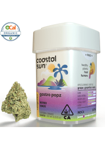 Coastal Sun - Gastro Popz 7g