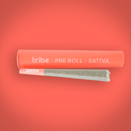 Georgia Chron - Sativa - Flower Pre Roll