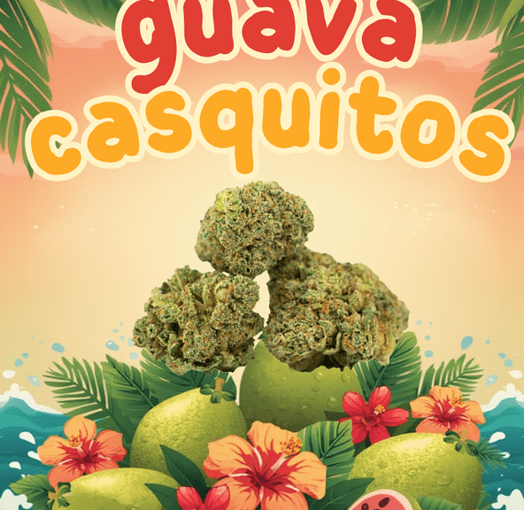 Flower: Guava Casquitos - Essence - 3.5G
